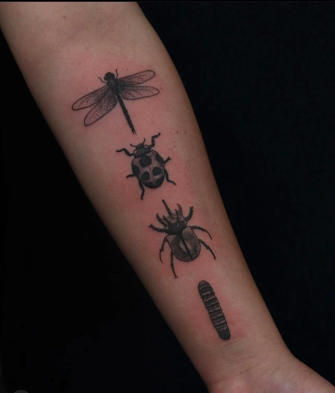 Insect Silhouette Nature Tattoo