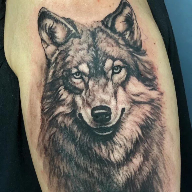 Intense Gaze Wolf Tattoo